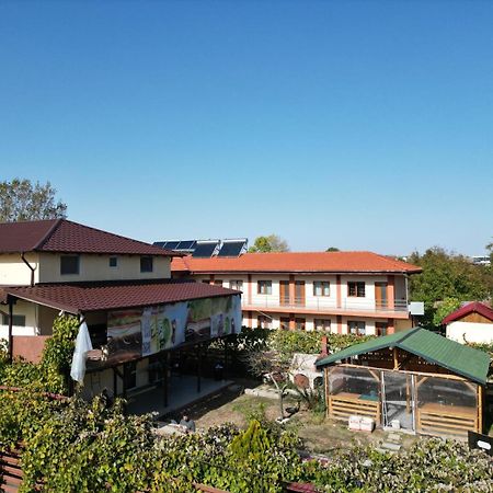 Apartamento Casa Calin Vama Veche Exterior foto